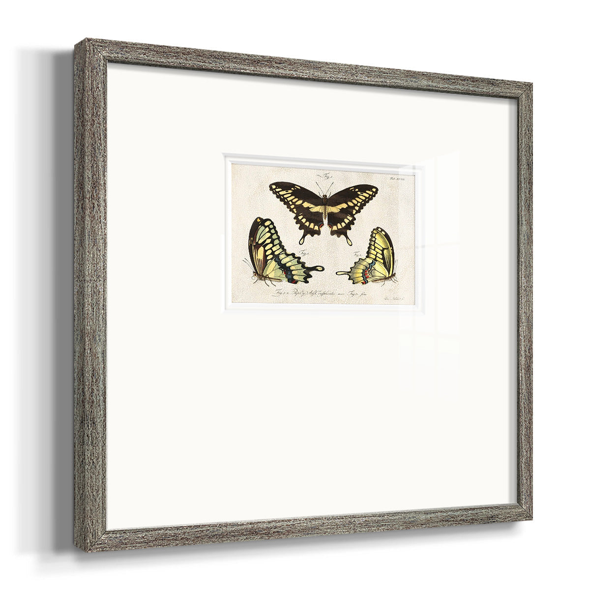 Crackled Butterflies I - Double Matboard Framed Print