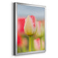 Twotone Tulip - Modern Framed Canvas Print