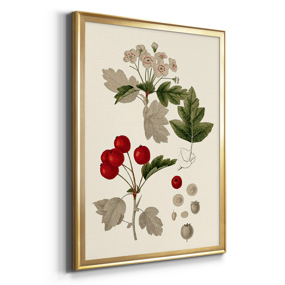 Leaves & Berries III - Modern Framed Canvas Print