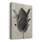 Blossfeldt Botanical VI Premium Gallery Wrapped Canvas - Ready to Hang