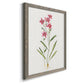 Delicate Pink II - Premium Canvas Framed in Barnwood - Ready to Hang