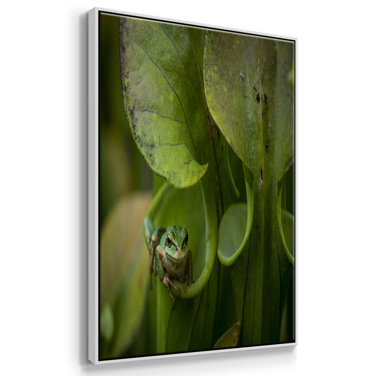 Arboreal Refuge - Framed Premium Gallery Wrapped Canvas L Frame - Ready to Hang