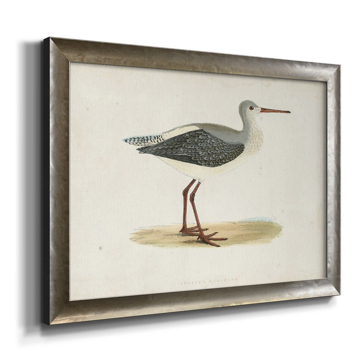 Morris Sandpipers I Premium Framed Canvas- Ready to Hang