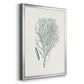 Antique Coastal Coral I - Modern Framed Canvas Print