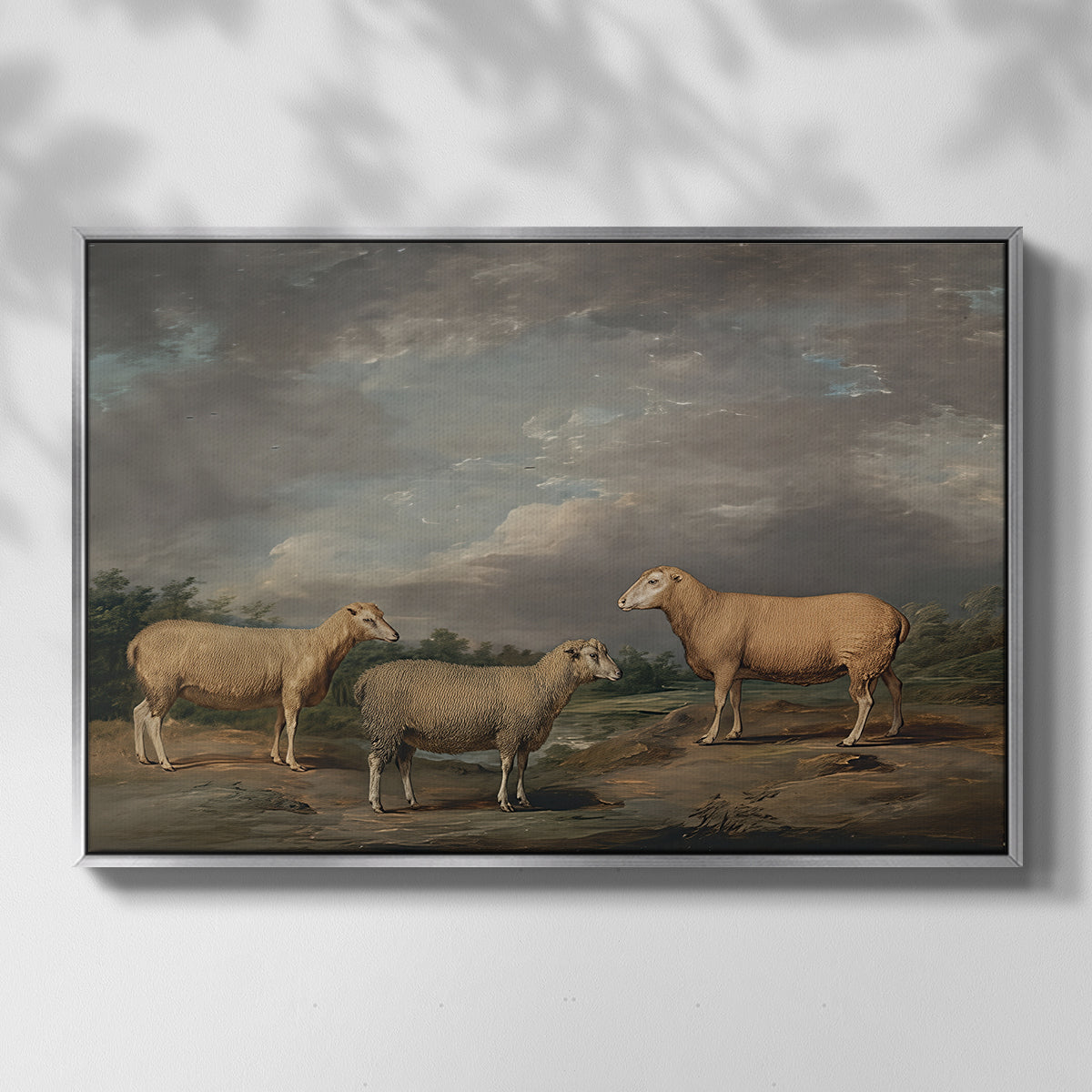 Ryelands Sheep, the King's Ram, the King's Ewe and Lord Somerville's Wether, c. 1801-1807 - Floater Framed Canvas Print