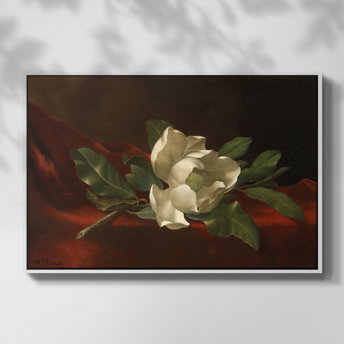 Magnolia on Red Velvet, c. 1885-1890 - Floater Framed Canvas Print