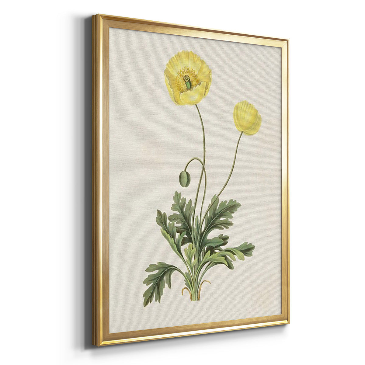 Flowers of the Seasons XII - Modern Framed Canvas Print