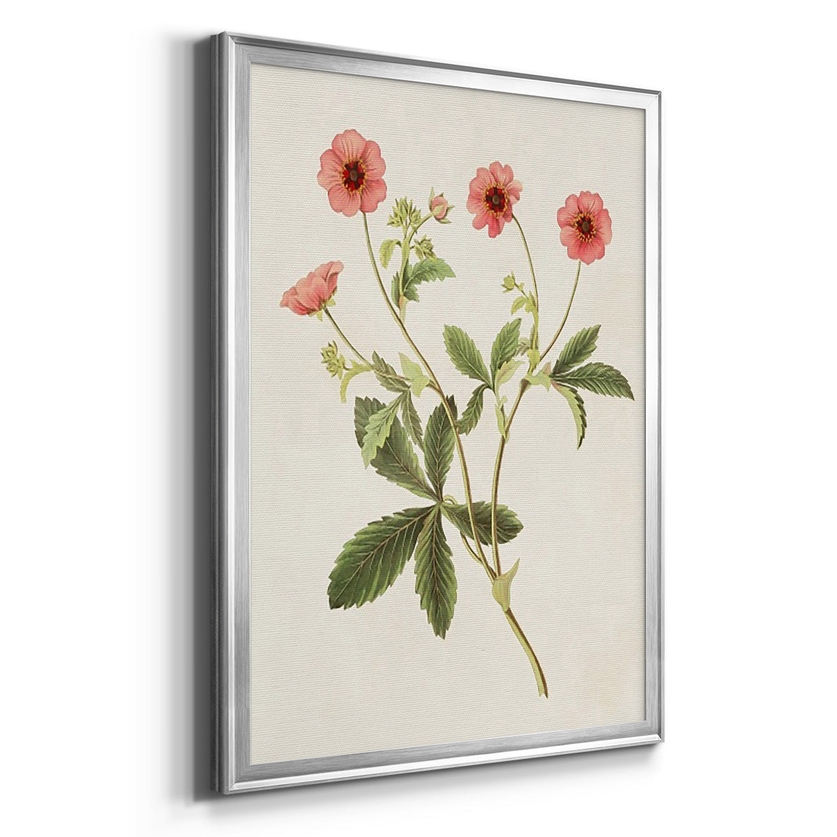 Flowers of the Seasons VIII - Modern Framed Canvas Print