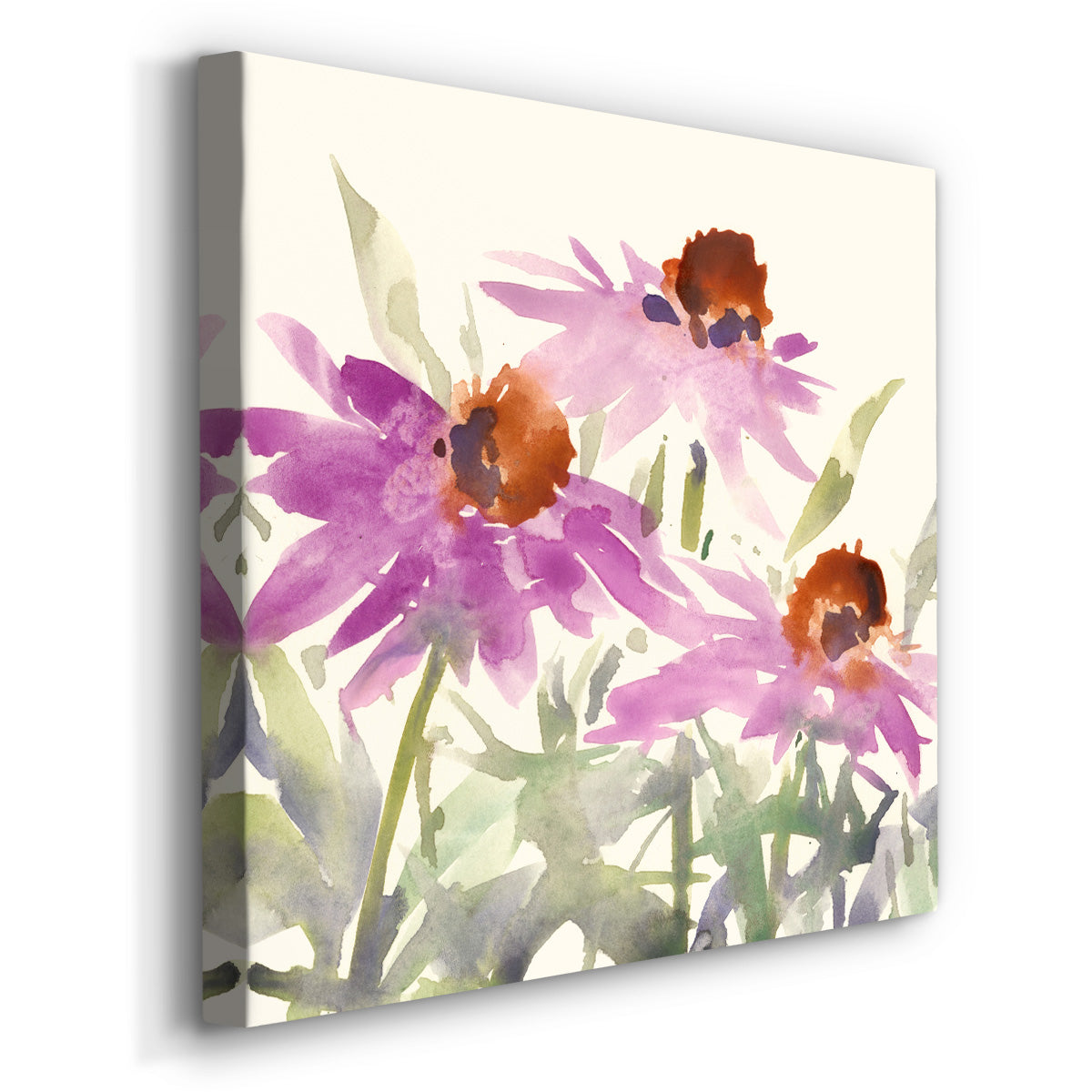 Daisy Garden Views II - Canvas Art Print