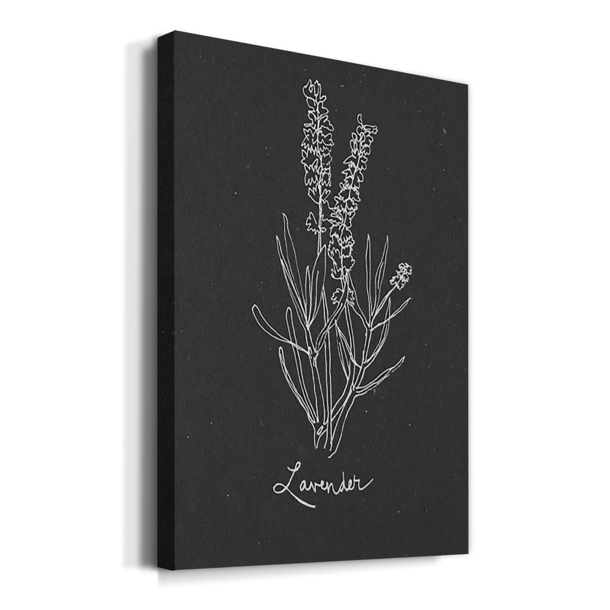 Scent Garden II Premium Gallery Wrapped Canvas - Ready to Hang