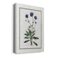 Soft Botanical II Premium Gallery Wrapped Canvas - Ready to Hang