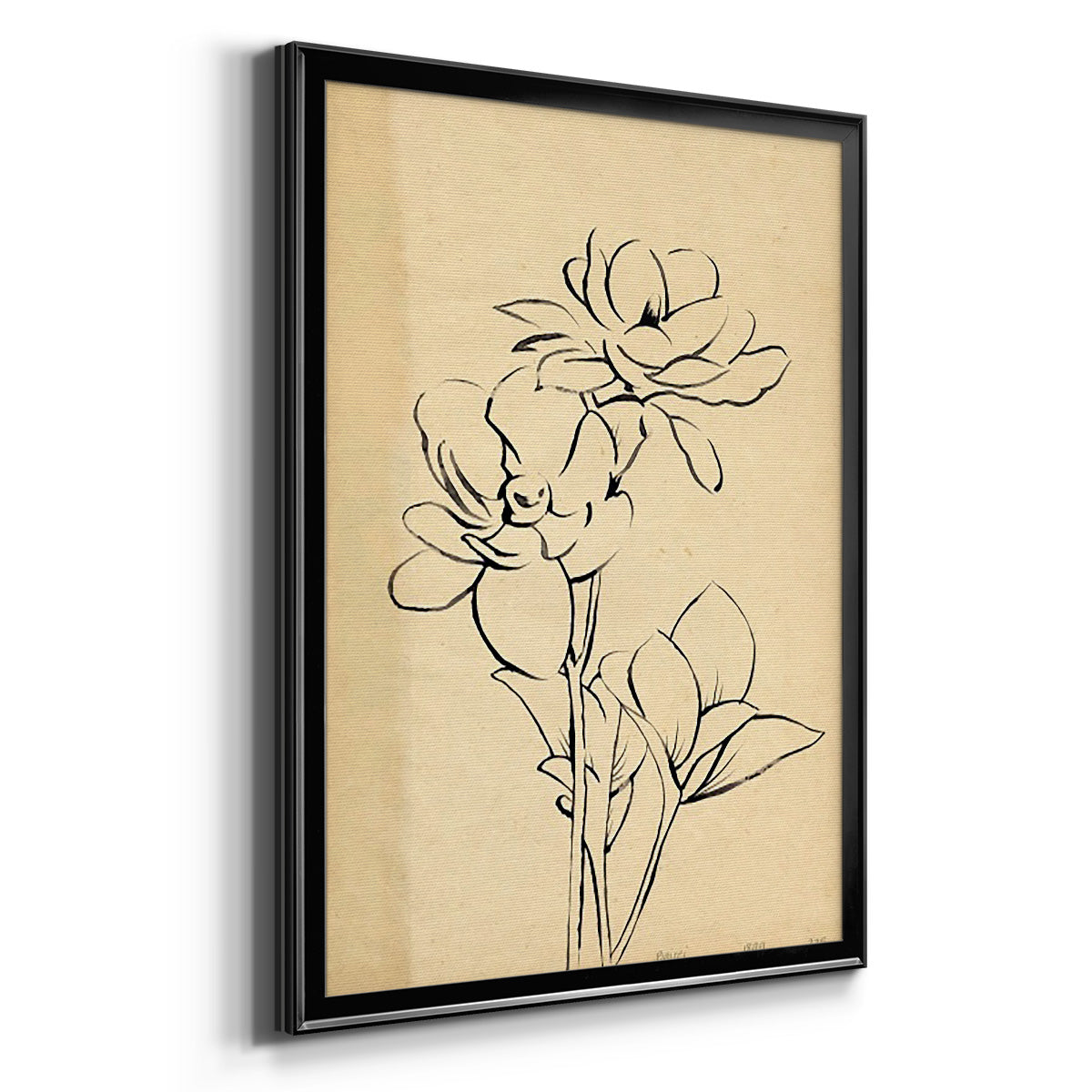 Magnolia Sketch II - Modern Framed Canvas Print