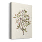 Twig Study II Premium Gallery Wrapped Canvas - Ready to Hang