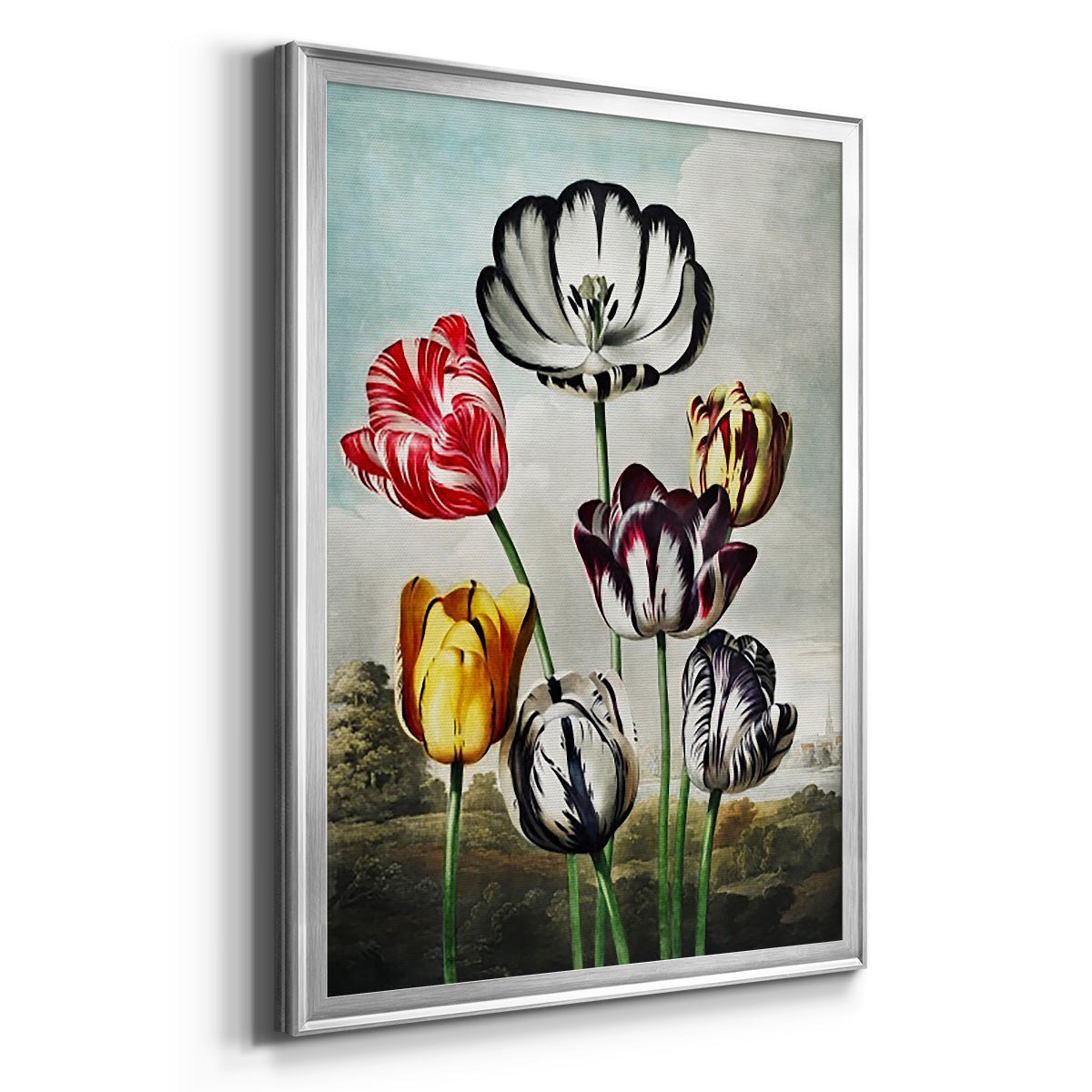 Temple of Flora VI - Modern Framed Canvas Print