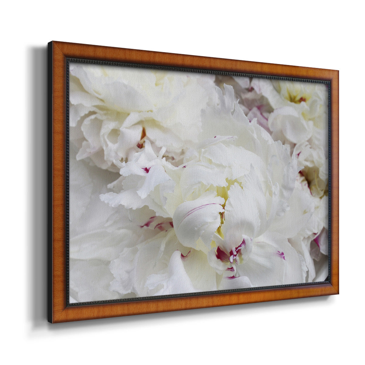 Breathless VI - Ornate Framed Canvas Print
