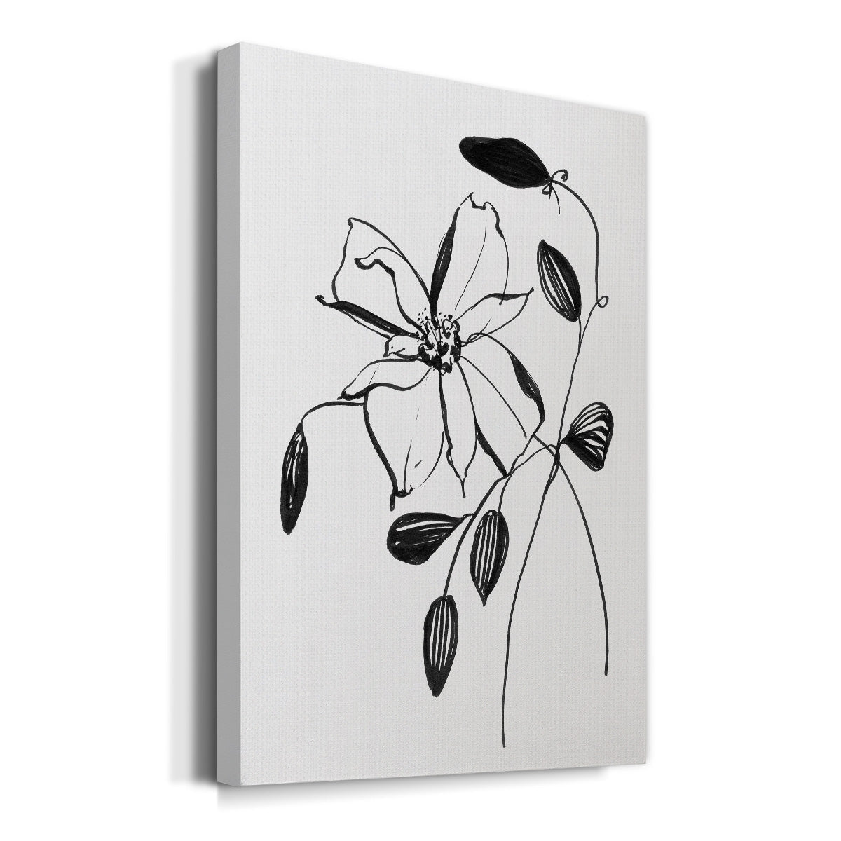 Wild Clematis II Premium Gallery Wrapped Canvas - Ready to Hang