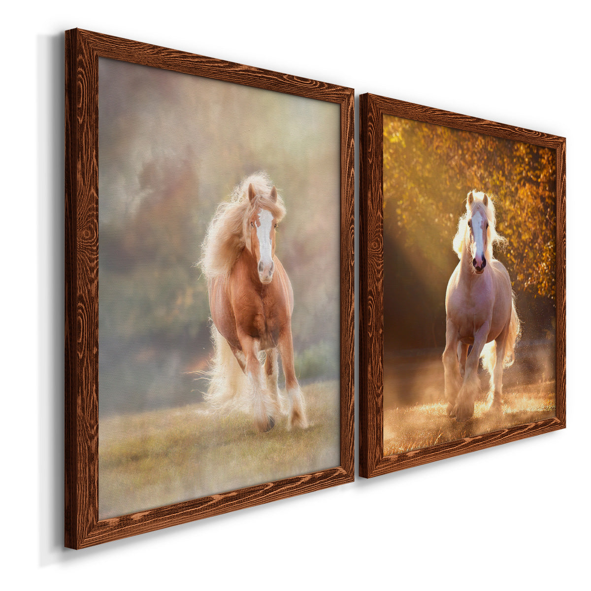 Horse Motion VII - Premium Framed Canvas 2 Piece Set - Ready to Hang