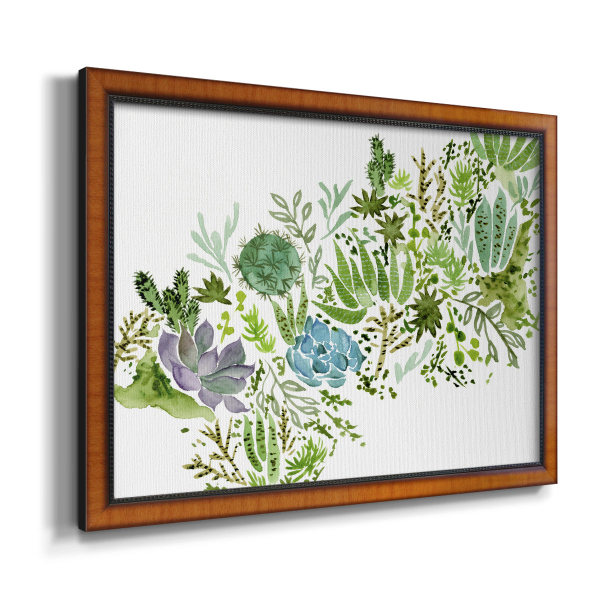 Succulent Field I Premium Framed Canvas- Ready to Hang