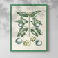 Buchoz Tropicals VII - Restickable Framed Art Print