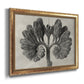 Blossfeldt Botanical VIII Premium Framed Canvas- Ready to Hang