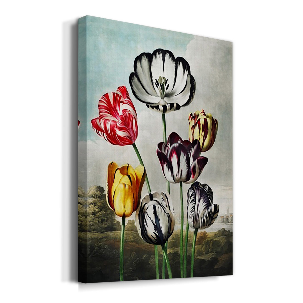 Temple of Flora VI - Canvas Art Print