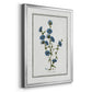 Soft Botanical I - Modern Framed Canvas Print