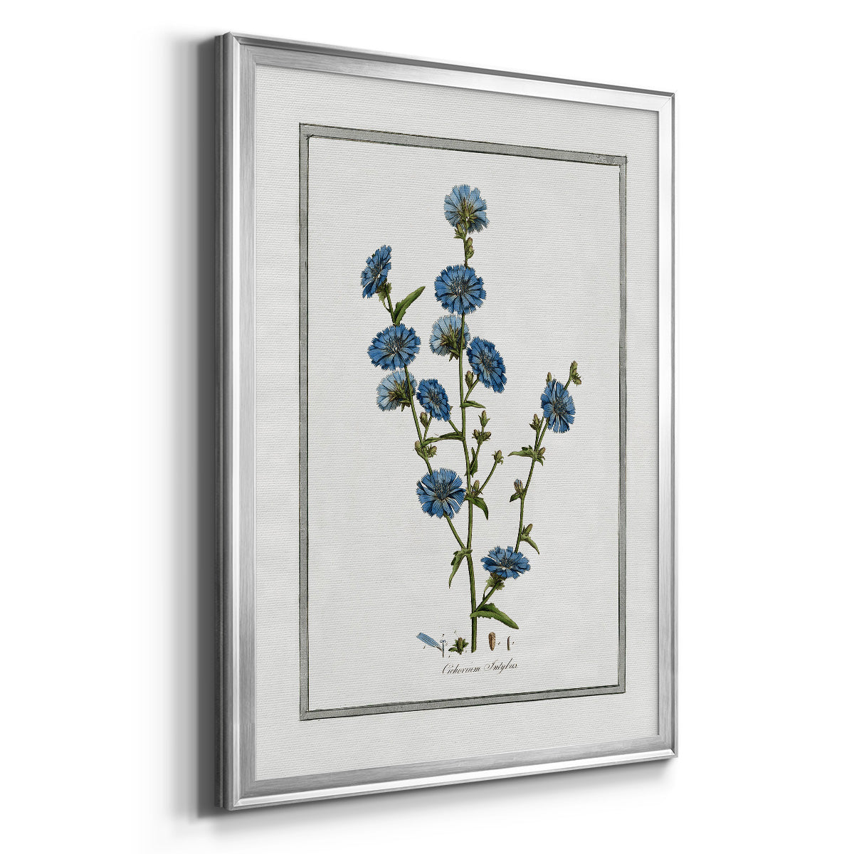 Soft Botanical I - Modern Framed Canvas Print