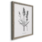 Simply Lavender - Premium Canvas Framed in Barnwood - Ready to Hang