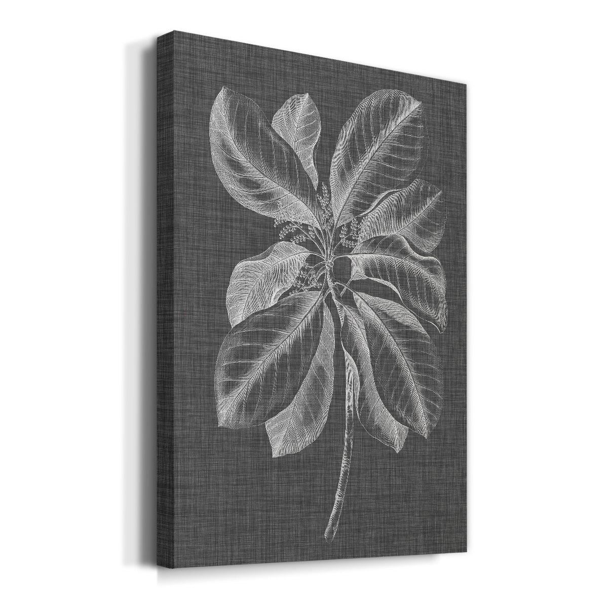 Graphic Foliage II Premium Gallery Wrapped Canvas - Ready to Hang