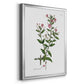 Rose Botanical III - Modern Framed Canvas Print