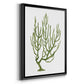 Coral Souvenirs III - Modern Framed Canvas Print