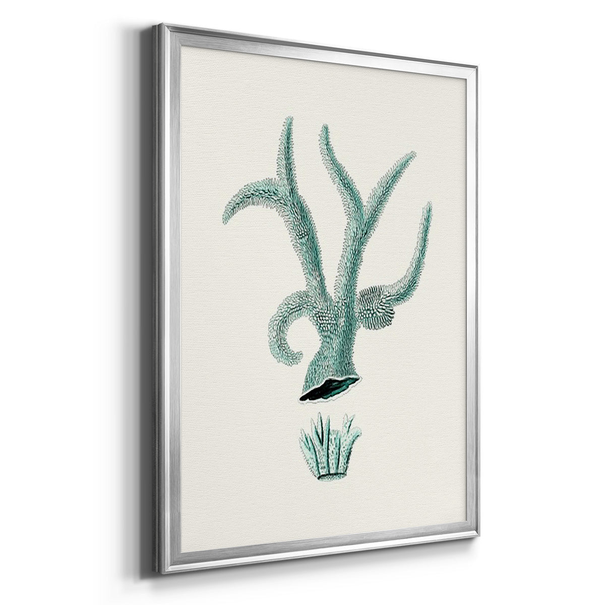 Antique Coastal Coral XII - Modern Framed Canvas Print