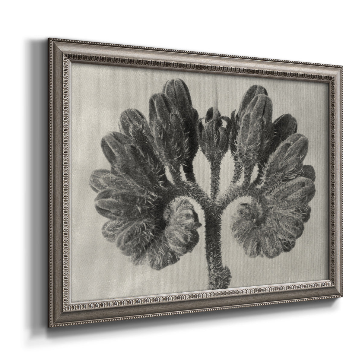 Brackish Flowers I Premium Framed Canvas- Ready to Hang