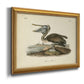 Audubons Brown Pelican - Ornate Framed Canvas Print