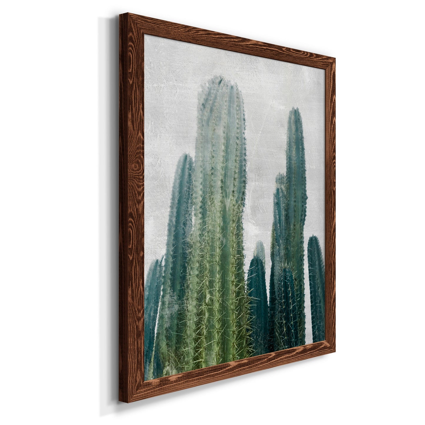 Aruba Cacti I - Premium Canvas Framed in Barnwood - Ready to Hang