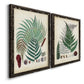 Angled view of a set of two black barnwood framed canvas prints featuring two natural-history fern plates featuring vintage fern specimens with botanical details.