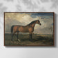 Eagle, A Celebrated Stallion, 1809 - Floater Framed Canvas Print