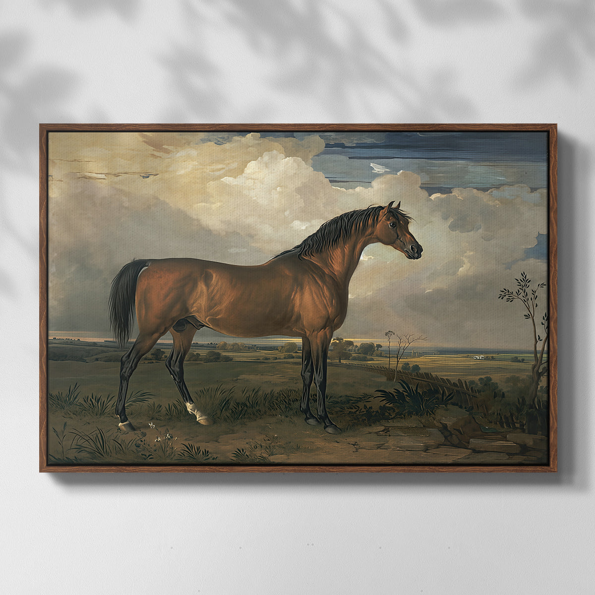 Eagle, A Celebrated Stallion, 1809 - Floater Framed Canvas Print