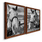 Angled view of a set of two maple barnwood framed canvas prints featuring two modern equestrian photography featuring black-and-white close-up portraits of horses at fences.