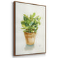 Succulent I - Framed Premium Gallery Wrapped Canvas L Frame - Ready to Hang