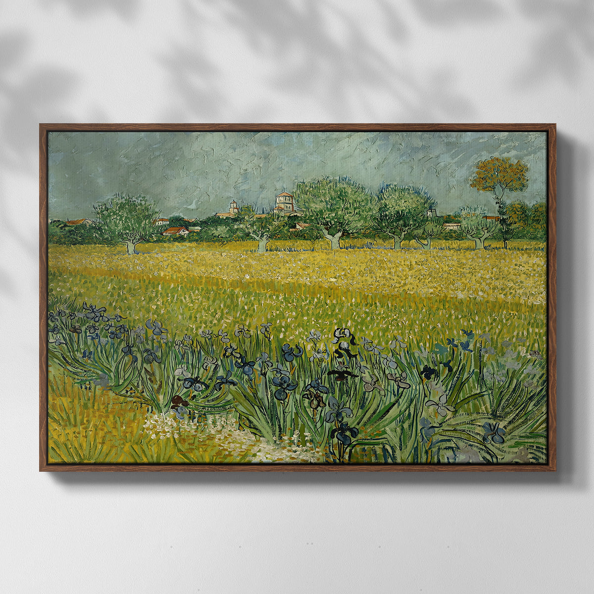 Field with Irises near Arles, 1888 - Floater Framed Canvas Print