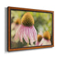 Echinacea Study II Premium Framed Canvas- Ready to Hang