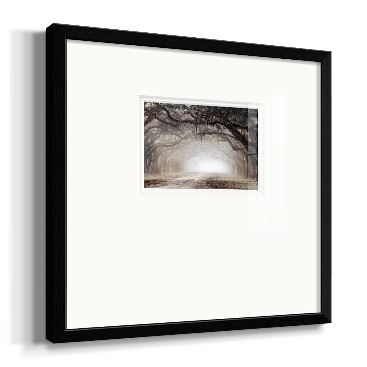 Timeless Plantation Drive Premium Framed Print Double Matboard