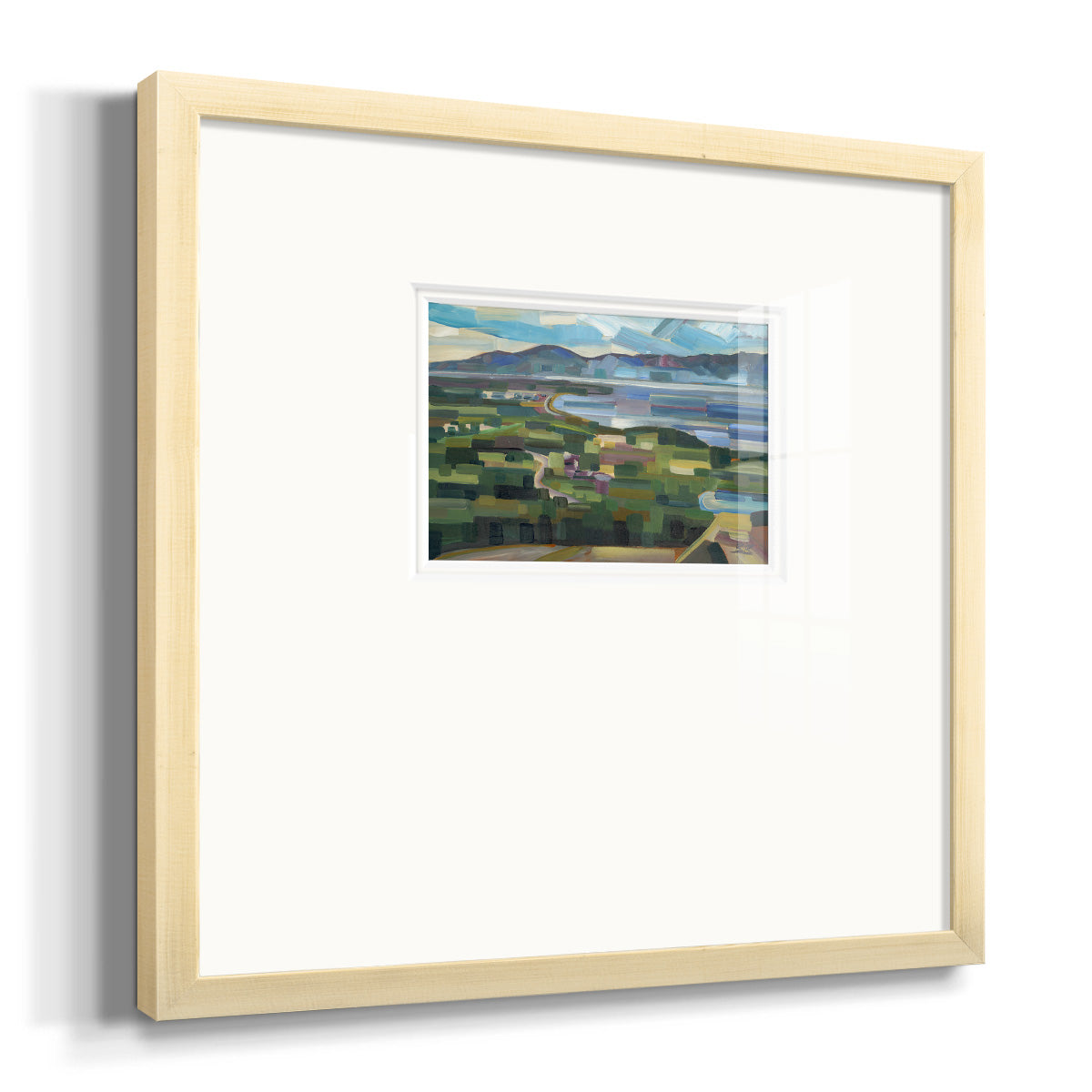 View From Goose Park Premium Framed Print Double Matboard