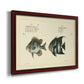 Bloch Antique Fish II Premium Framed Canvas- Ready to Hang