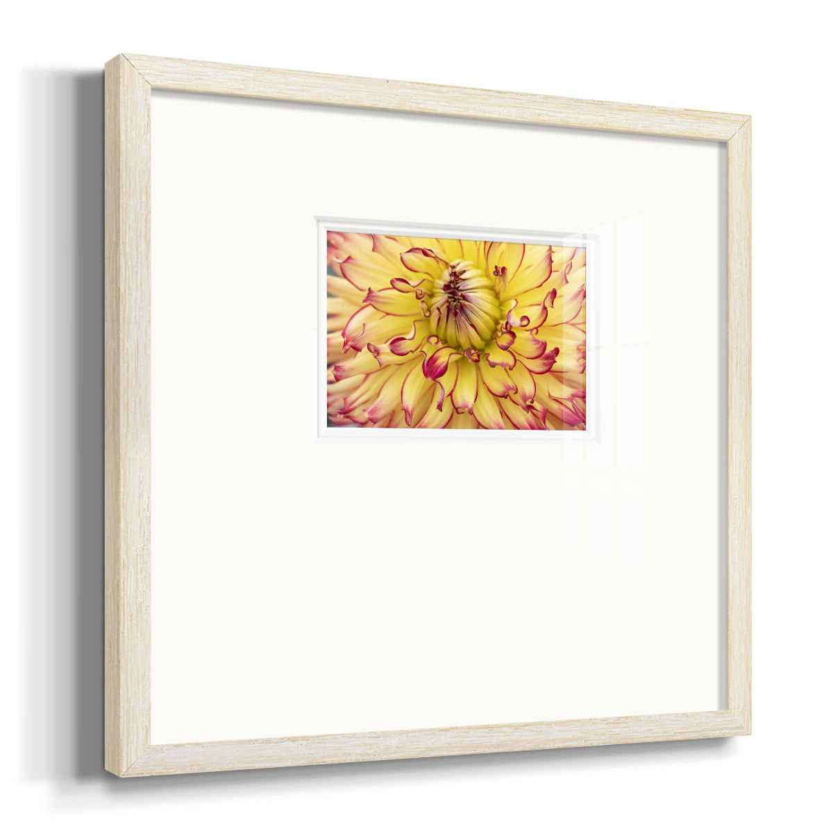 Blooms II- Premium Framed Print Double Matboard