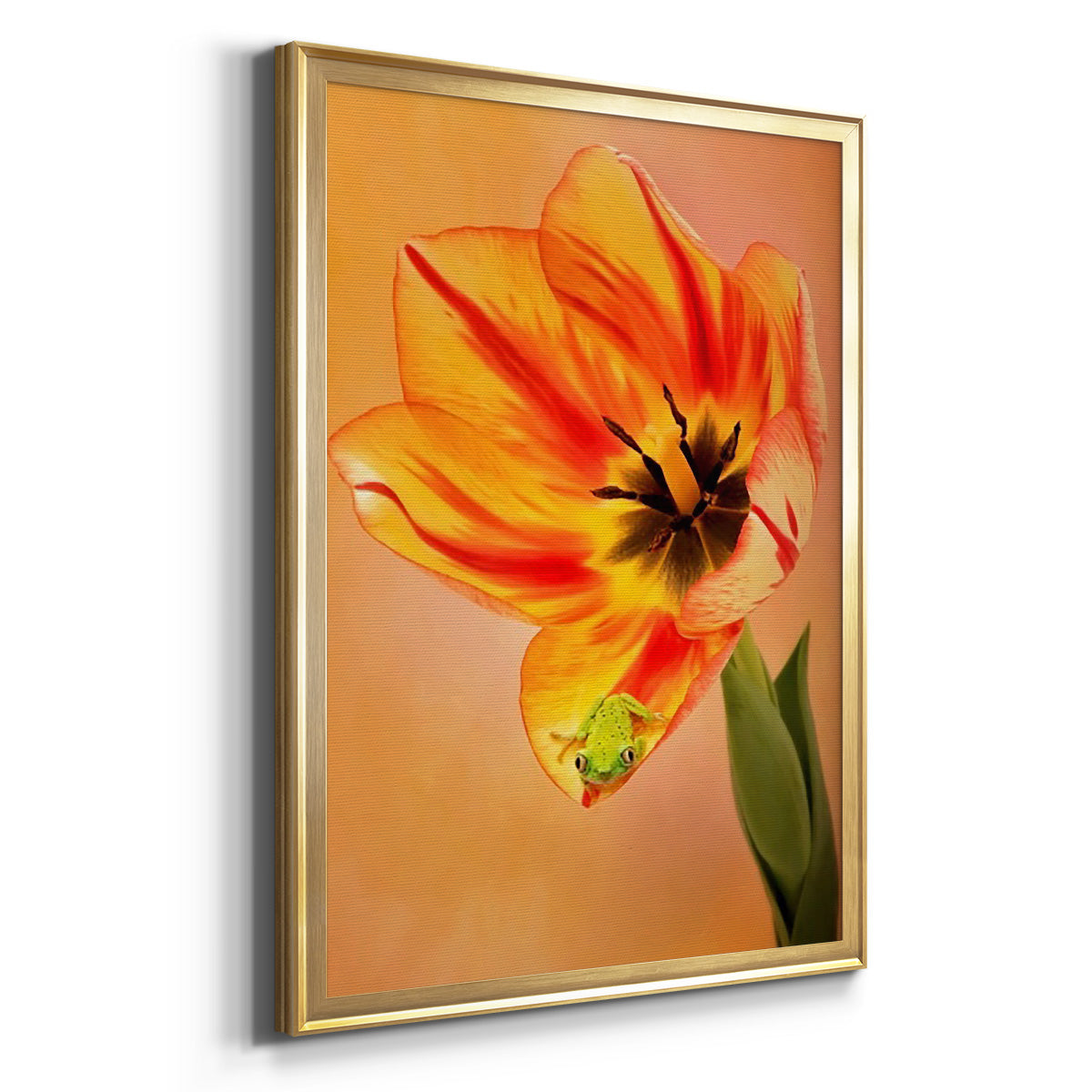 Hanging On VI - Modern Framed Canvas Print