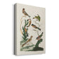 Antique Birds in Nature I Premium Gallery Wrapped Canvas - Ready to Hang