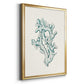 Antique Coastal Coral IV - Modern Framed Canvas Print