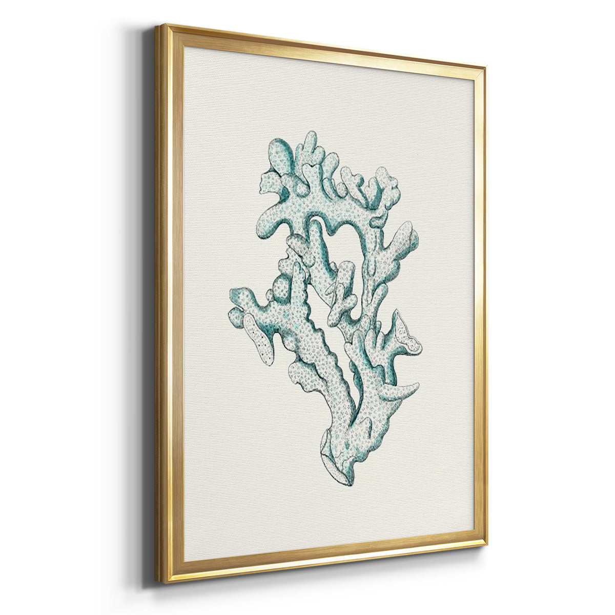 Antique Coastal Coral IV - Modern Framed Canvas Print